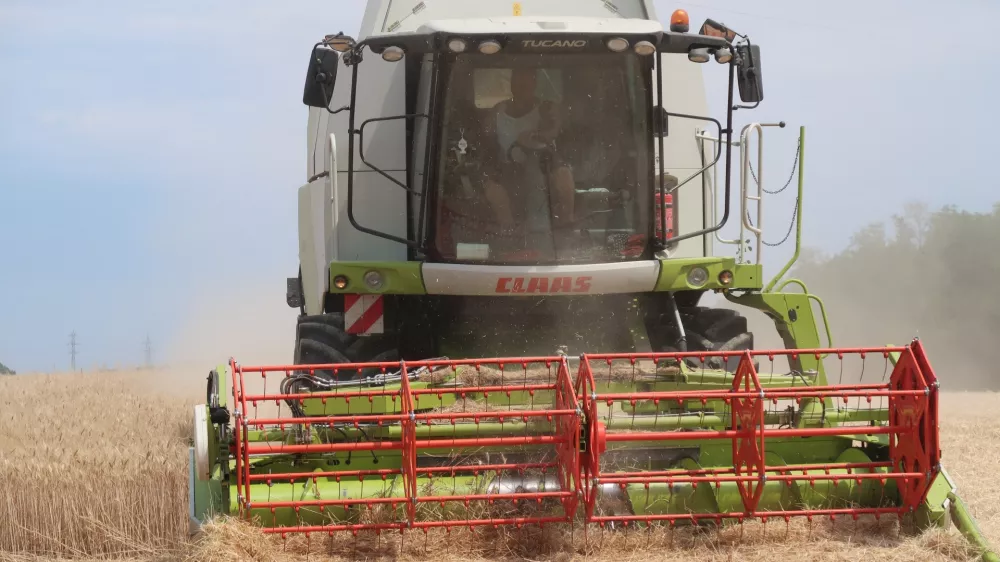 Goričko, kmetijstvo, njiva, p&scaron;enica, žetev, kombajn. Foto: Tatjana Pihlar 