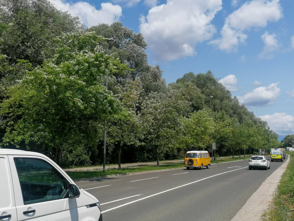 25.07.2024. Zara&scaron;čena parcela ob Barjanski cesti v Ljubljani. Foto: Bojan Velikonja