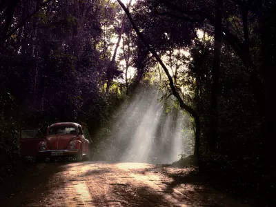 Nem&scaron;ka tovarna je v Braziliji prisotna že desetletja. Fotografija hro&scaron;ča sredi brazilskega temačnega gozda je seveda simbolična. / Foto: Istock