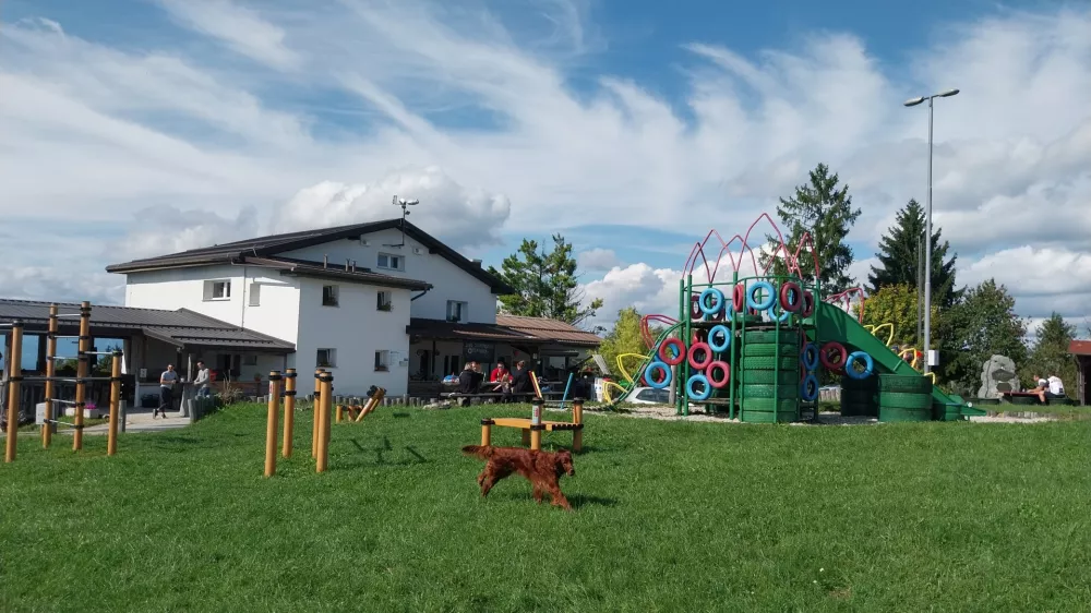 Dom se pohvali z otro&scaron;kimi igrali, nekaj jih je postavljenih tudi za hi&scaron;o.