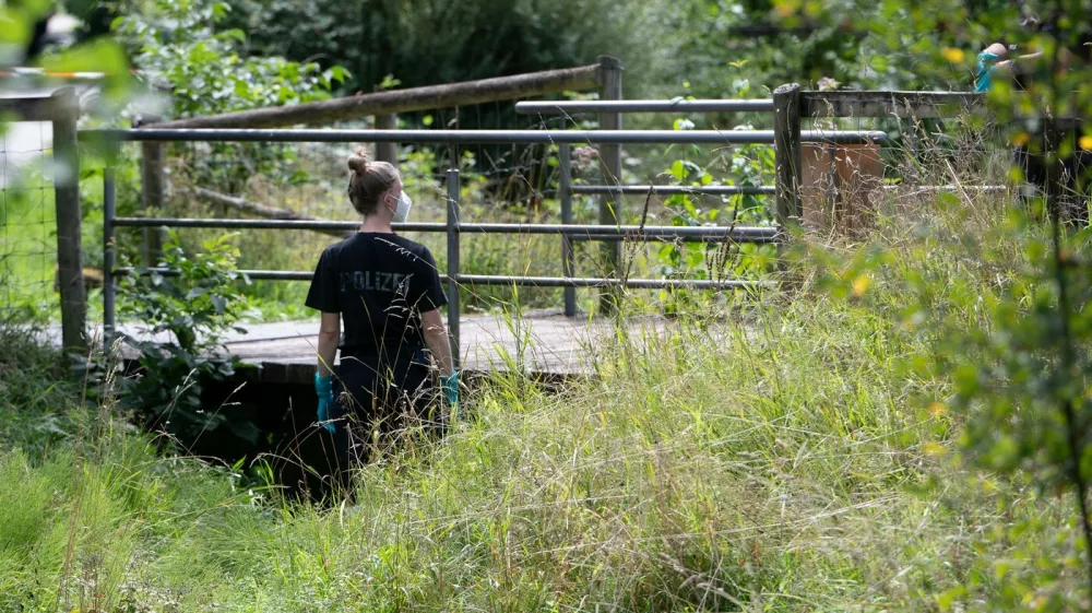 29 August 2025, Filderstadt: A policewoman stands by a bridge on the outskirts of Filderstadt. A suitcase with a body inside was found under a bridge by a small stream in Filderstadt. Photo: Markus Lenhardt/dpa,Image: 1032321503, License: Rights-managed, Restrictions: GERMANY OUT, Model Release: no