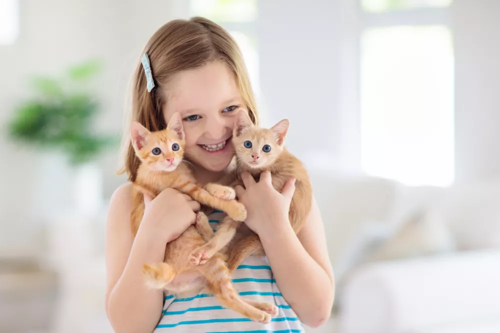 Child holding baby cat. Kids and pets. Little girl hugging cute little kitten at home. Domestic animal in family with kids. Children with pet animals. / Foto: Famveld