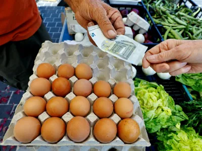 FILE PHOTO: A shopper pays with a five Euro bank note to buy eggs at a local market in Nice, France, April 26, 2023. REUTERS/Eric Gaillard/File Photo