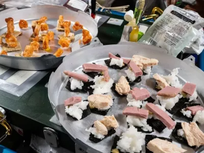 Vesoljski su&scaron;i