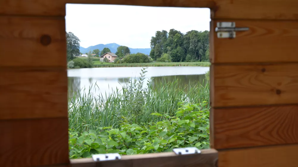 Zgodbe na&scaron;ih mokri&scaron;č