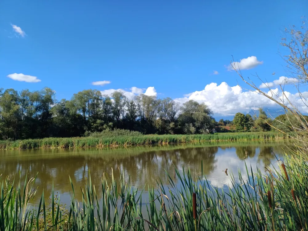 Zgodbe na&scaron;ih mokri&scaron;č