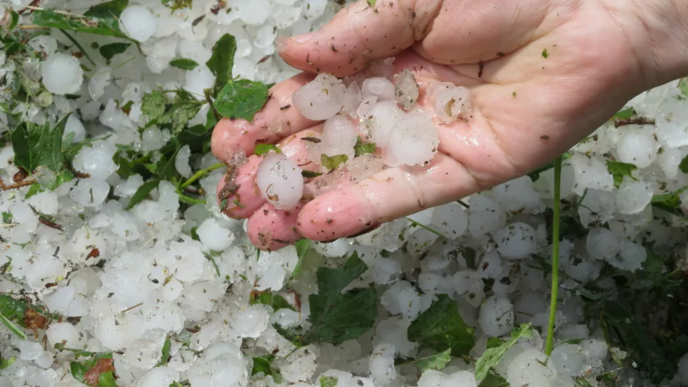 Včeraj&scaron;nji ostanki toče v Mokronogu. F Dragana Stanković
