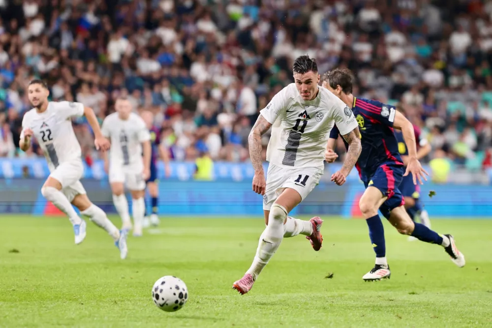 Slovenija - &Scaron;vedska, &Scaron;e&scaron;ko