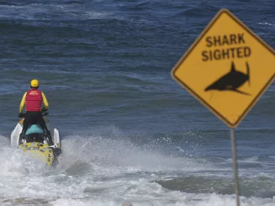 A surf lifesaver patrols a beach on a jetski following a fatal shark attack at Dee Why Beach in Sydney, Australia, Saturday, Sept. 6, 2025. (AP Photo/Mark Baker)