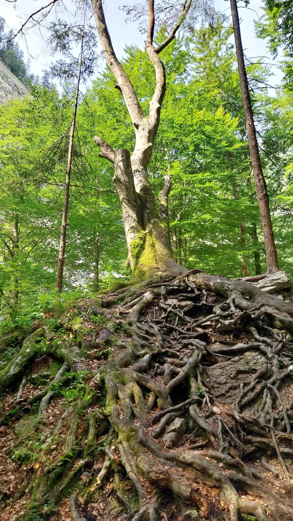 Na poti vas bodo pričakale dih jemajoče stvaritve narave. 
