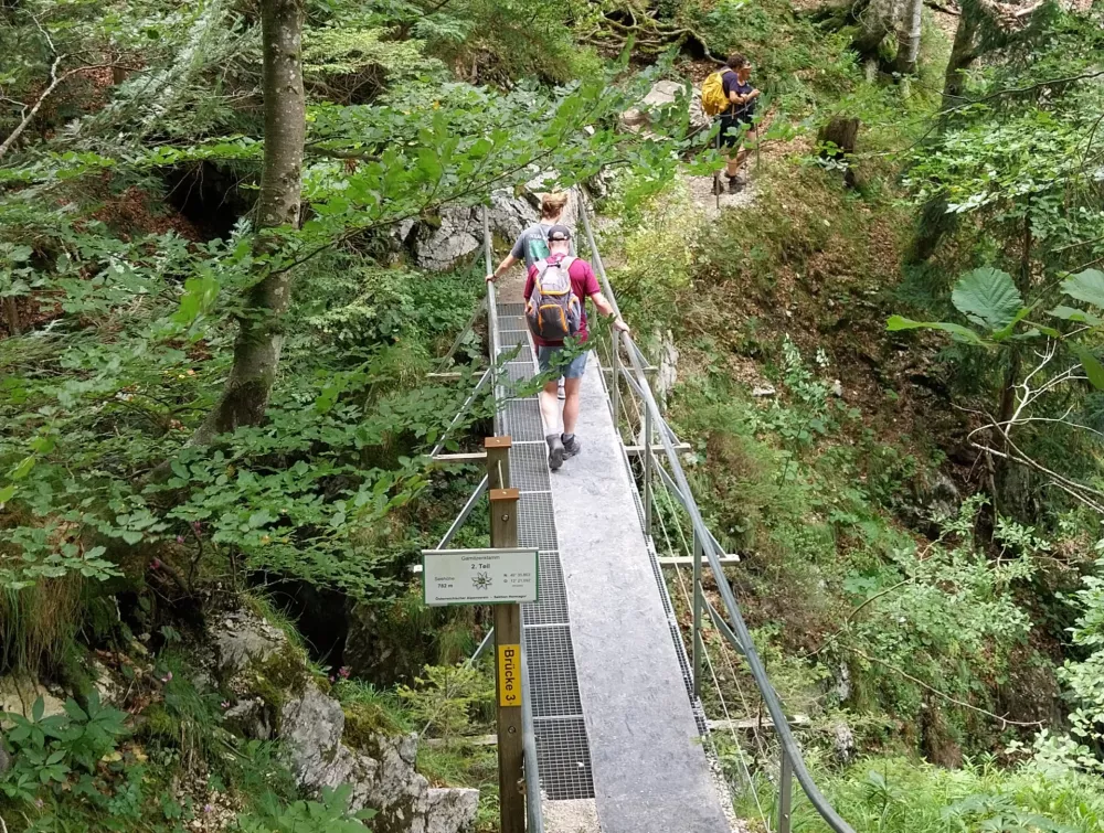 Atraktivno pot povezuje kar devet trdnih mostov.