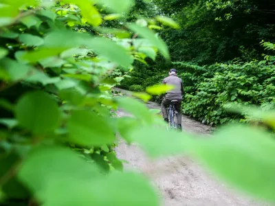 - japonski dresnik - trdoživi plevel iz vzhodne Azije na območju Viča, kolesar - kolesarstvo - starostniki - rekreacija    - 25.05.2015 - Agresivne tujerodne rastlinske vrste v Sloveniji - invazivna tujerodna vrsta - invazivne rastline -   //FOTO: Bojan Velikonja