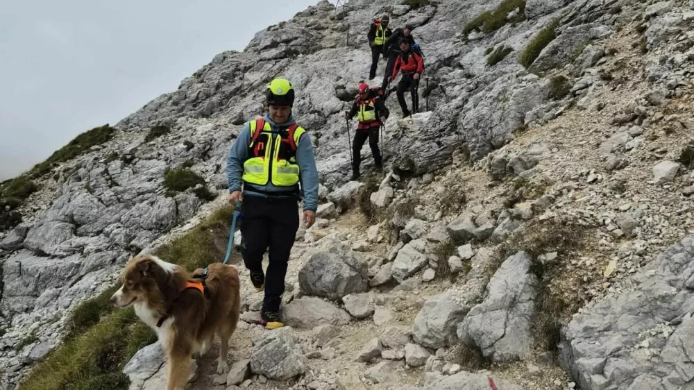 Gorski re&scaron;evalci že od ponedeljka i&scaron;čejo pogre&scaron;ano planinko. Na pomoč jim je priskočil tudi sledni pes. 