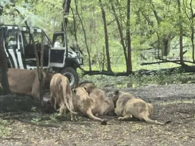 Safari World Park Bangkok