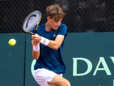 Bor Artnak, tenis, Davisov pokal, Portorož