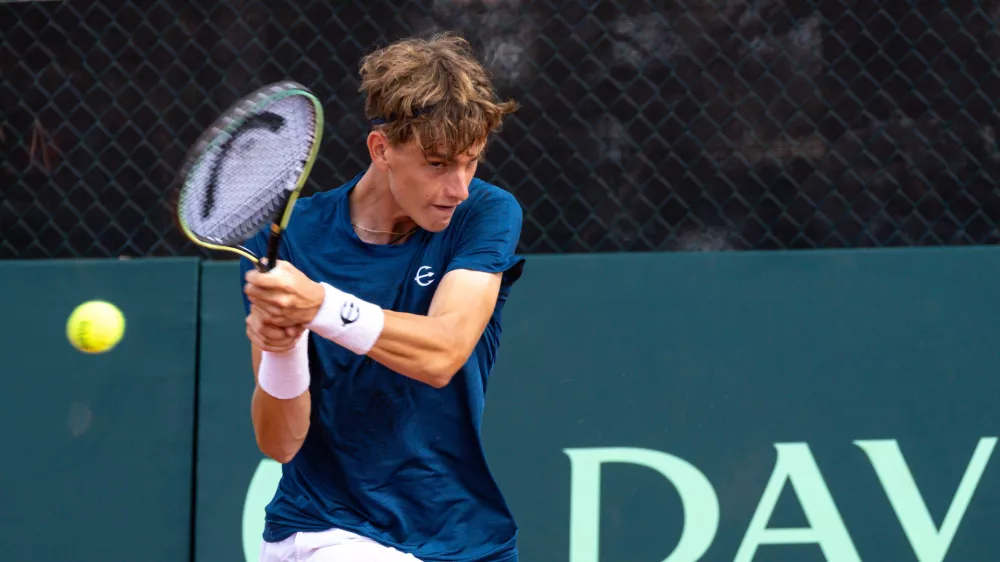 Bor Artnak, tenis, Davisov pokal, Portorož