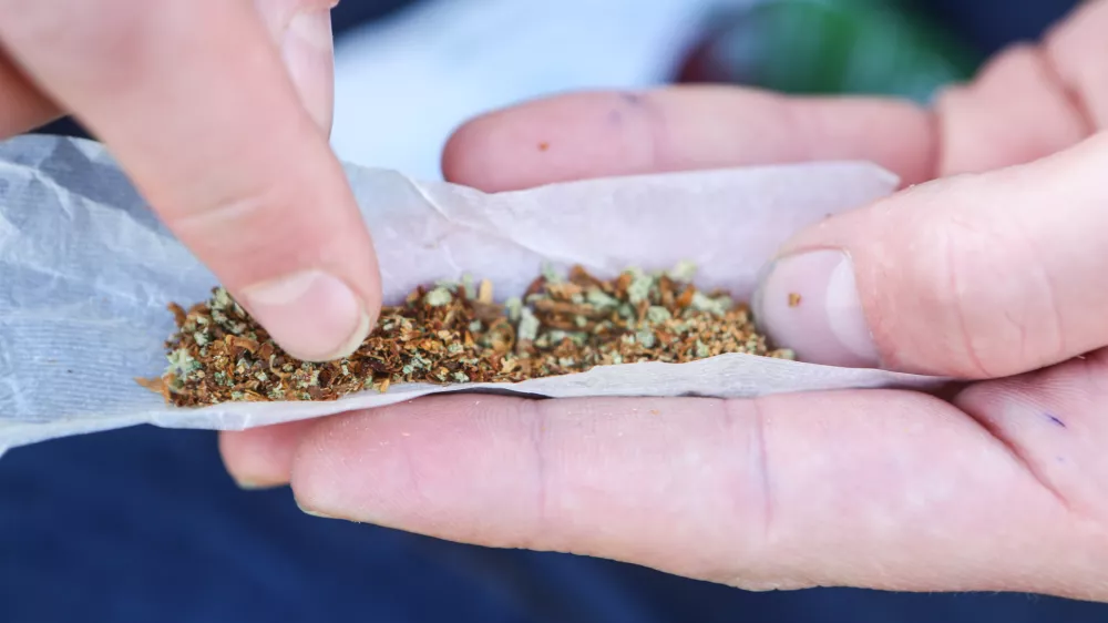 Zvijanje jointa, marihuana, kajenje marihuane, indijska konoplja- 22.04.2015 - Marihuana mar&scaron; 2015 - tradicionalni shod proti prohibiciji konoplje in za liberalizacijo zakonskega področja prepovedanih drog v organizaciji &Scaron;tudentske organizacije Univerze v Ljubljani;  //FOTO: Bojan Velikonja