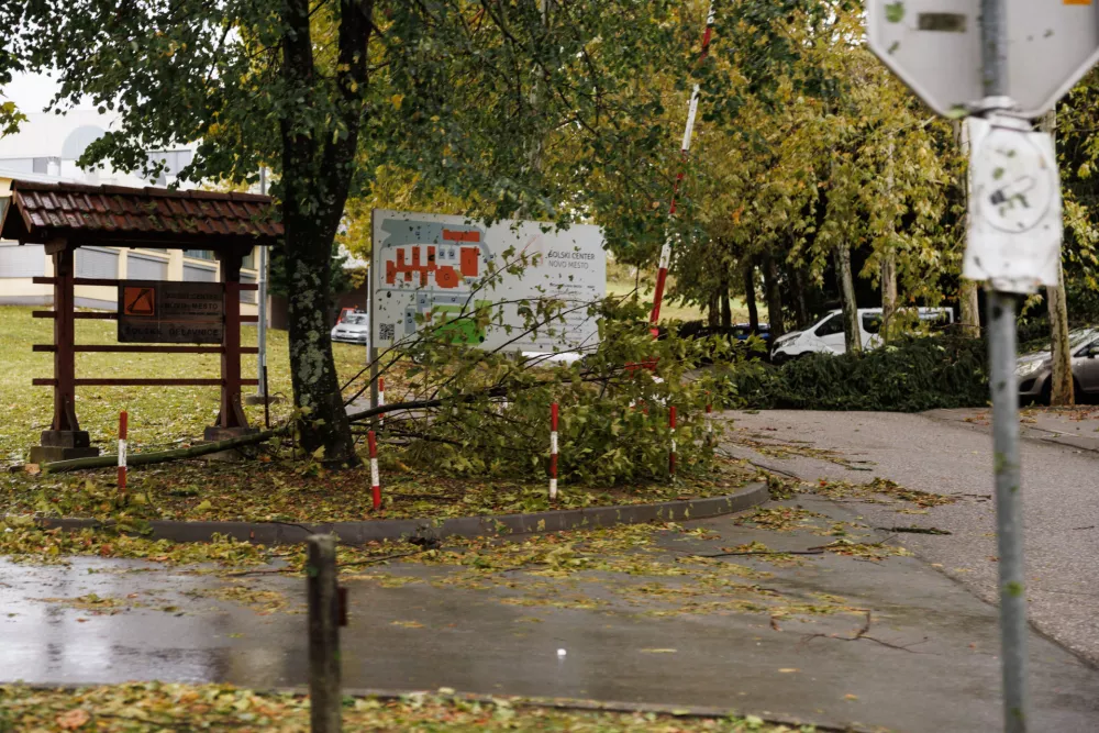 Novo mesto, Solski center Novo mesto. Ogled skode po neurju v Novem mestu.