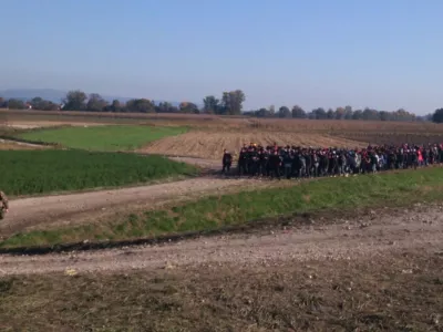 Festival dokumentarnega filma DOKUDOC