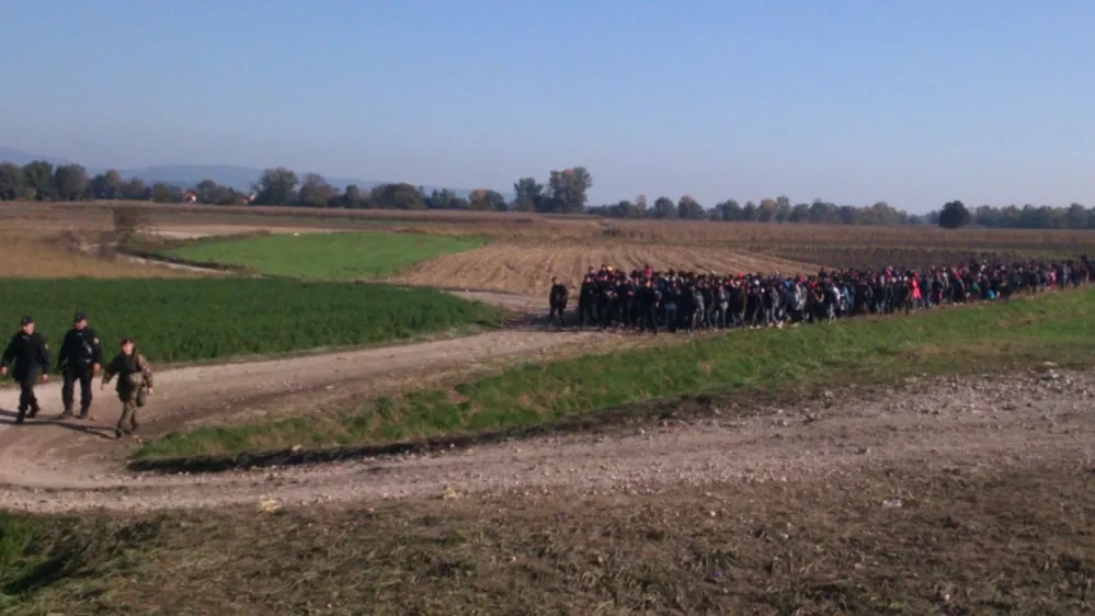 Festival dokumentarnega filma DOKUDOC