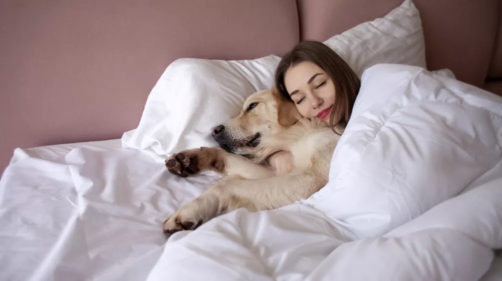 young girl in pajamas sleeps in bed with golden retriever dog, woman lies under blanket with pet and dreams