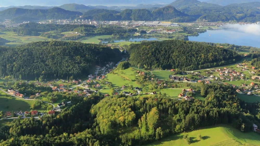 &ldquo;Bele lise&rdquo; ponekod ostajajo