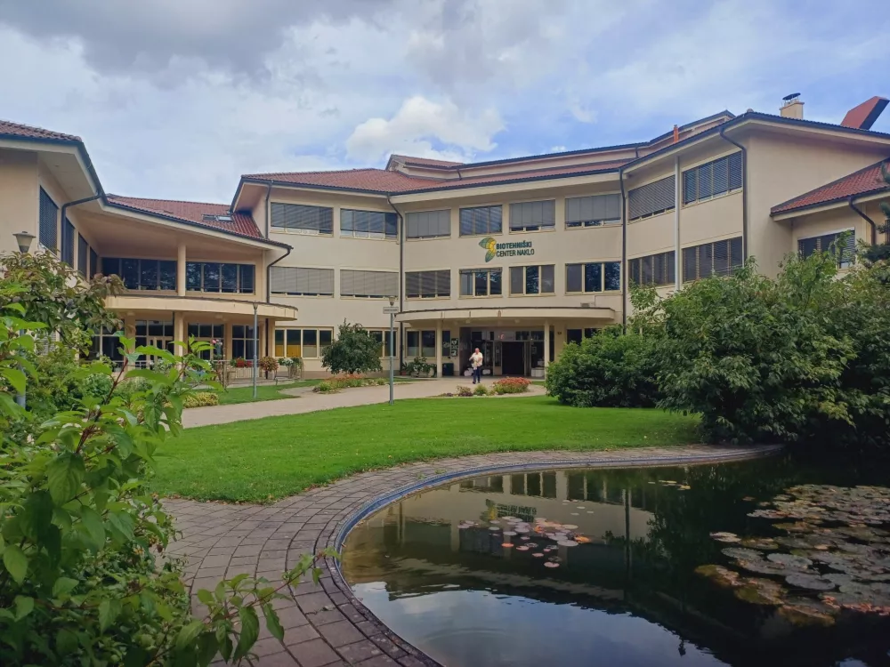 Pouk obogatili z gozdno terapijo