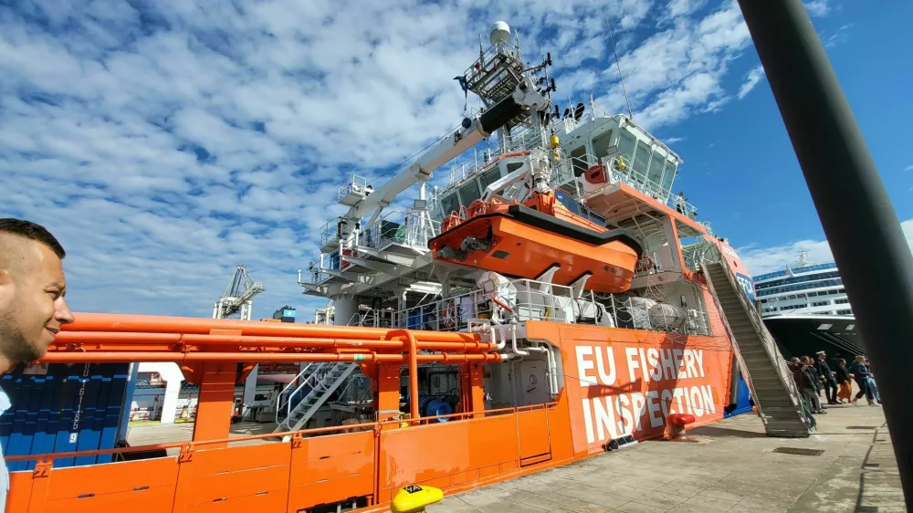 Ribi&scaron;ka in&scaron;pekcija v Kopru. Foto: Katja Gle&scaron;čič