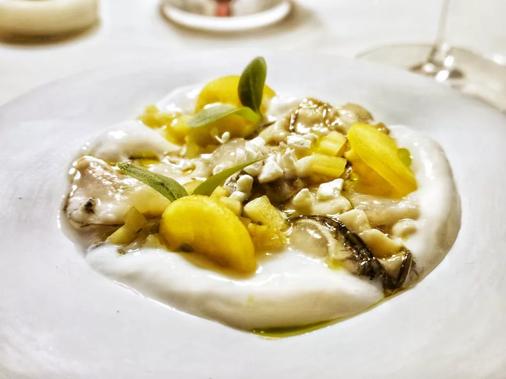 Ostrige in breskve, Dubravkin put Zagreb