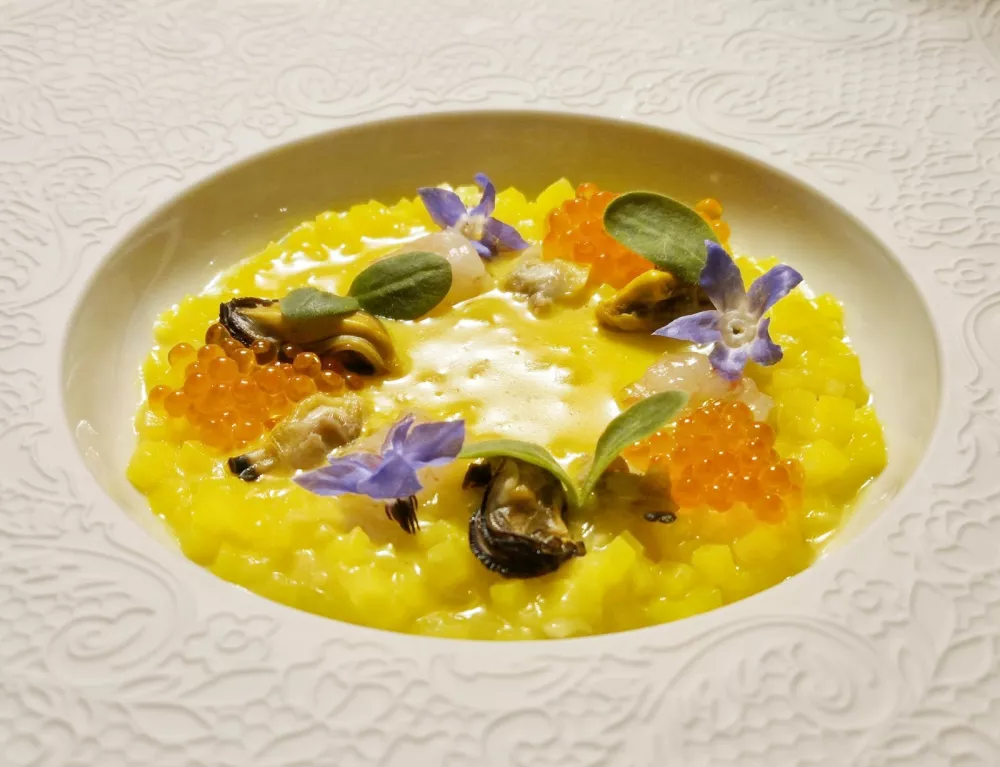 Dagnje, vongole in postrvje ikre, Dubravkin put Zagreb