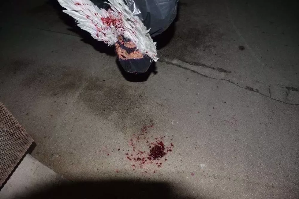 Umetni&scaron;ka intervencija Tivoli, Ulrik, O.S.E.