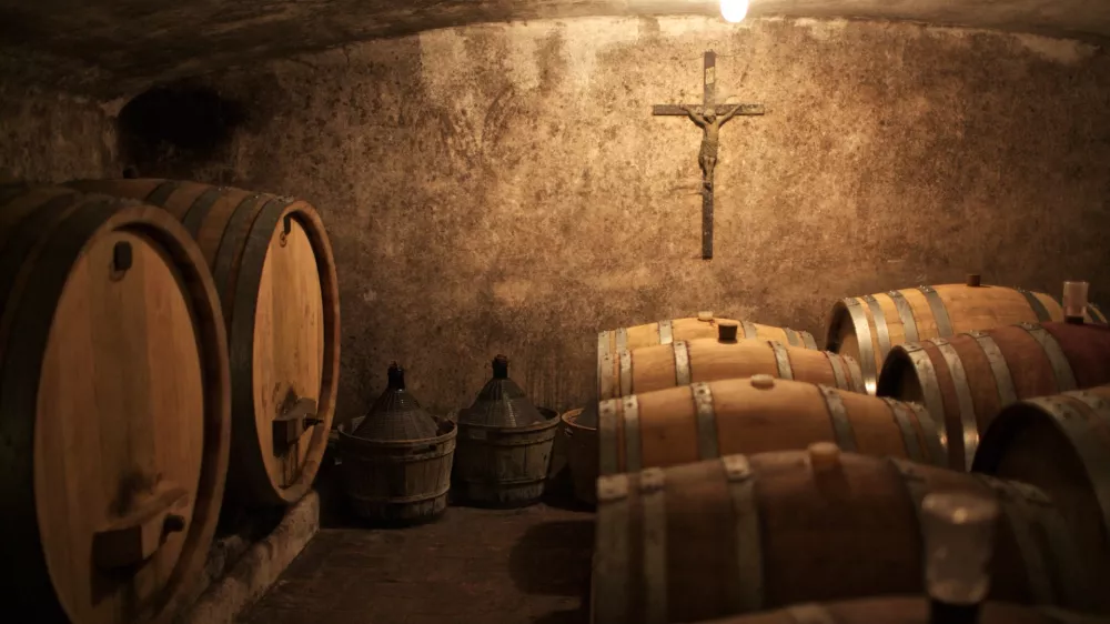 vinska klet Klinec - sodi - Medana - Gori&scaron;ka Brda - ekolo&scaron;ki vinarji - naravna orgamska vina, ///FOTO: Luka Cjuha OPOMBA: ZA OBJAVO V PRILOGI &ndash; DNEVNIKOV OBJEKTIV - INTERVJU