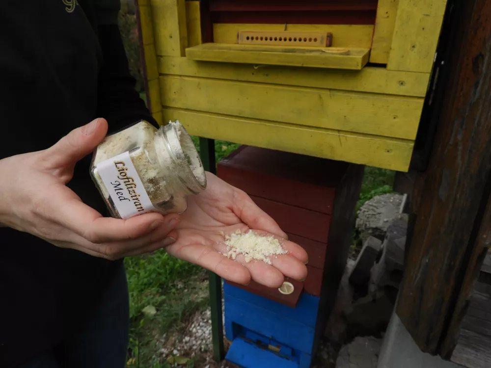 liofiliziran med Glazer / Foto: Katja Petrovec