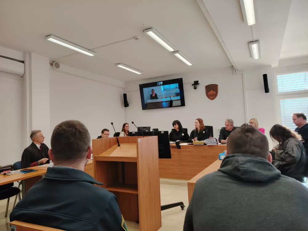 Obdolžena Tea K. je sojenje spremljala prek videopovezave. F Mojca Marot