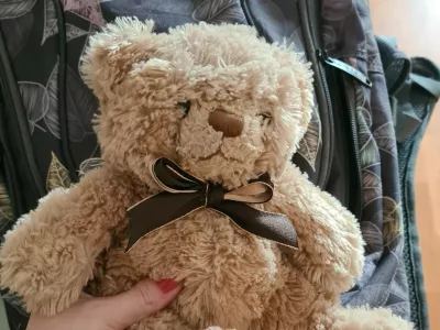 pli&scaron;ast medvedek