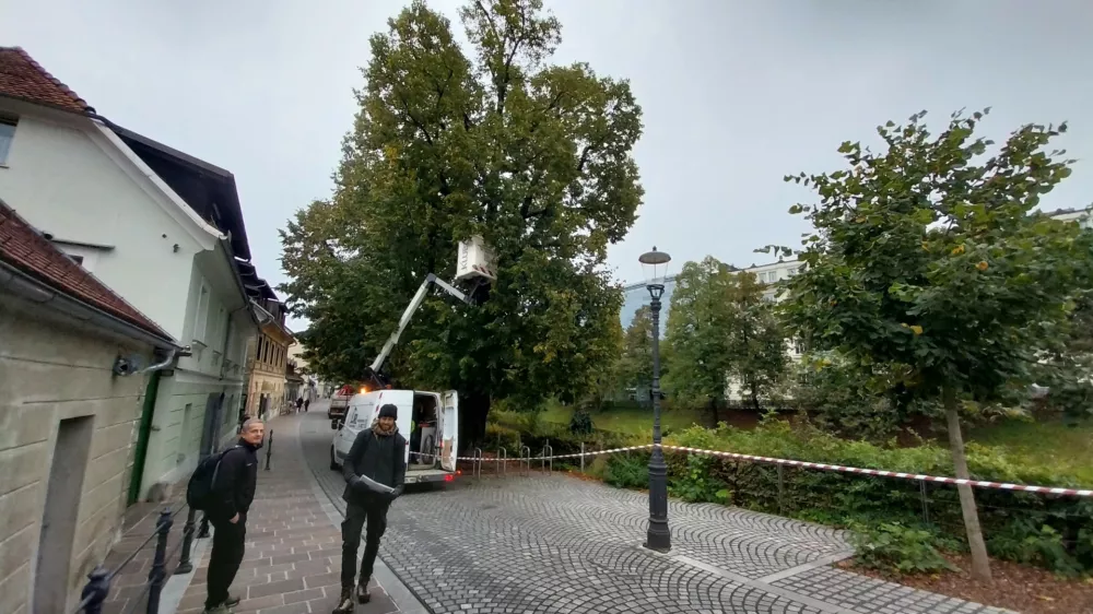 Umetnik Urban Modic je že začel z novoletnim okra&scaron;evanjem Ljubljane. Foto: Vesna Levičnik