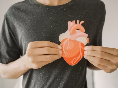 Hands holding heart anatomy, organ donor, cardiac heart cancer, health care hospital service concept / Foto: Sewcreamstudio