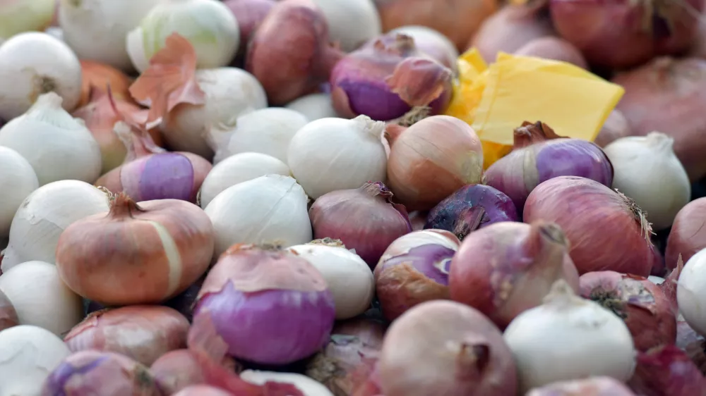 19.07.2025., Sibenik - Subotnja ponuda voca i povrca na sibenskoj trznici. Photo: Hrvoje Jelavic/PIXSELL