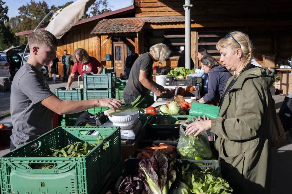 Zvečer se parkiri&scaron;če na Viču prelevi v pravo malo tržnico. Le kaj prodajajo?