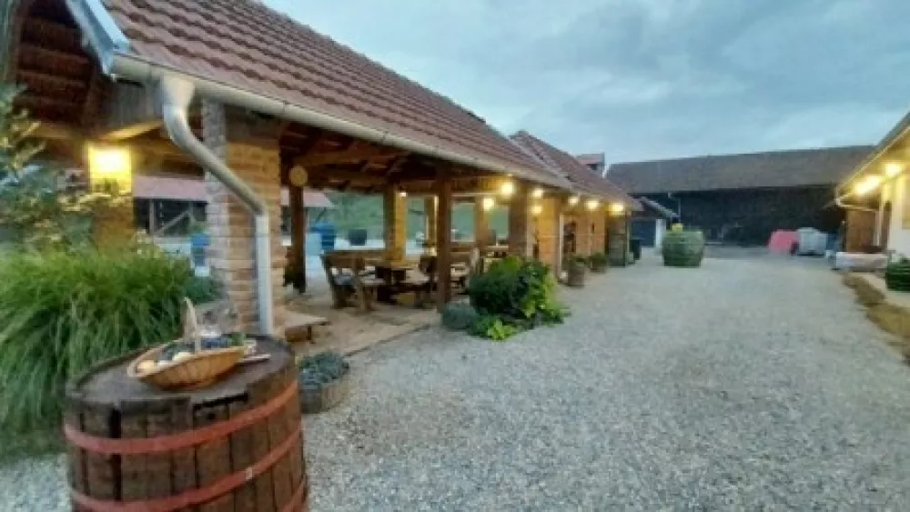 Čeprav je primarna dejavnost vinske kleti Vineda proizvodnja vina so svojo dejavnost na domu raz&scaron;irili z degustacijsko sobo, kjer ponujajo tudi hrano svojih sosedov