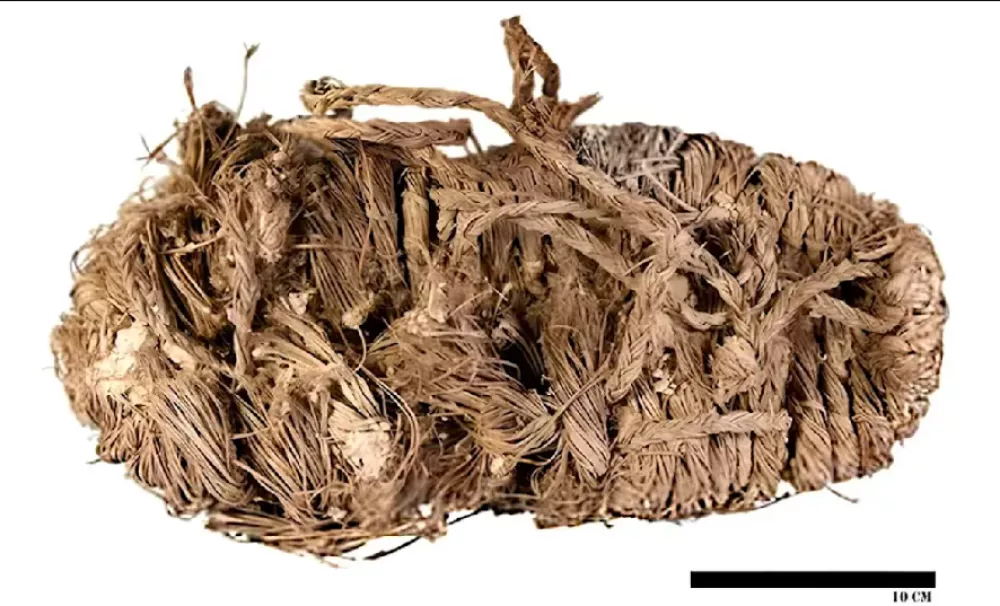 Sandal, ki so ga na&scaron;li v gnezdu. / Foto: Sergio Couto/margalida Et Al./ecology