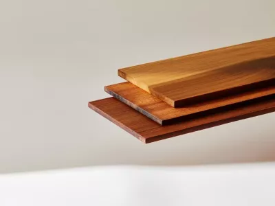 Nova vrsta lesa, ki sli&scaron;i na ime superles