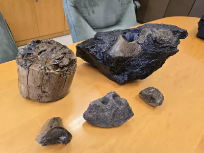 Velenje, Premogovnik Velenje.V Premogovniku Velenje nasli fosilizirane ostanke.Foto: Premogovnik Velenje