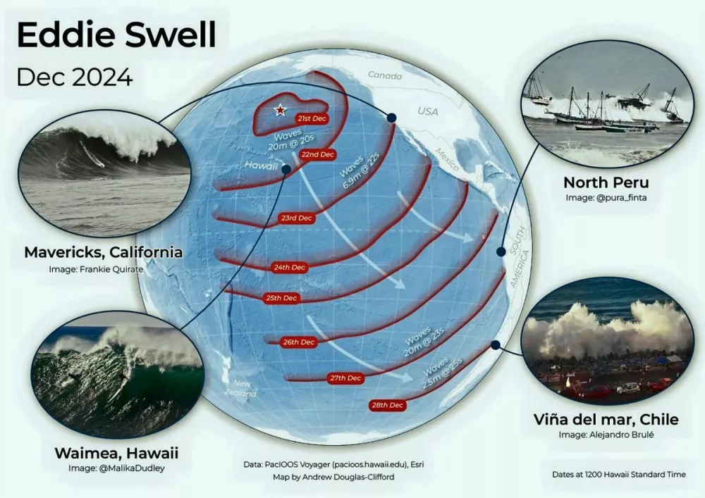 Ilustracija: / Foto: Tom Shand/ University Of Auckland