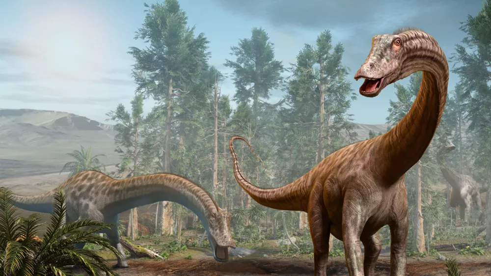 Diplodok je tudi eden od sorodnikov novinca. / Foto: Istock