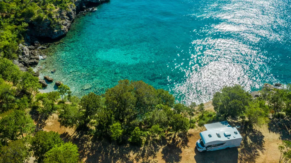 Vi, morje, sonce in - divji pra&scaron;iči / Foto: Istock