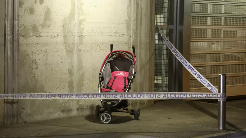 10.11.2024 - Popoldne so na območju &Scaron;i&scaron;ke v Ljubljani odkrili ostanke dojenčka - detomor - Ulica Draga - Naselje pri kose&scaron;kem bajerjunasilje nad otrokispolna zloraba otroksimboličnaFOTO: LUKA CJUHA