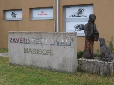 Zaveti&scaron;če za živali Maribor. Foto: Tatjana Pihlar 