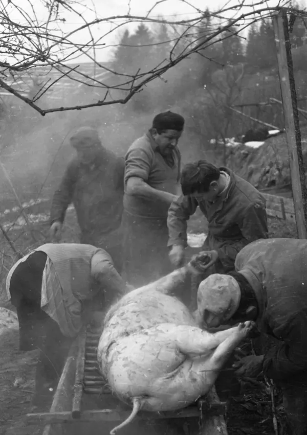November, kot ga ni več: spomini na koline, petrolejke in prve rock zabave