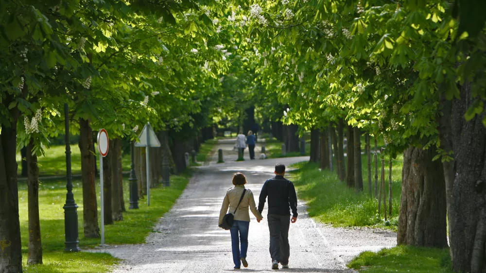 - simbolična fotografija - ljubljanski mestni Park Tivoli aprila 2014 - zelena pomlad - pomladno cvetenje - pomladni sprehod - sprehajalna pot - sprehajanje - park - zelena listopadna drevesa - listavci - listnata drevesa - drevo - narava - //FOTO: Tomaž Skale